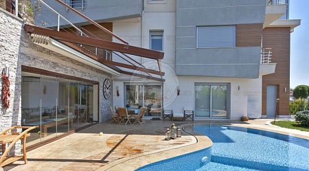 ���������������� ���� �� ��������  - ����